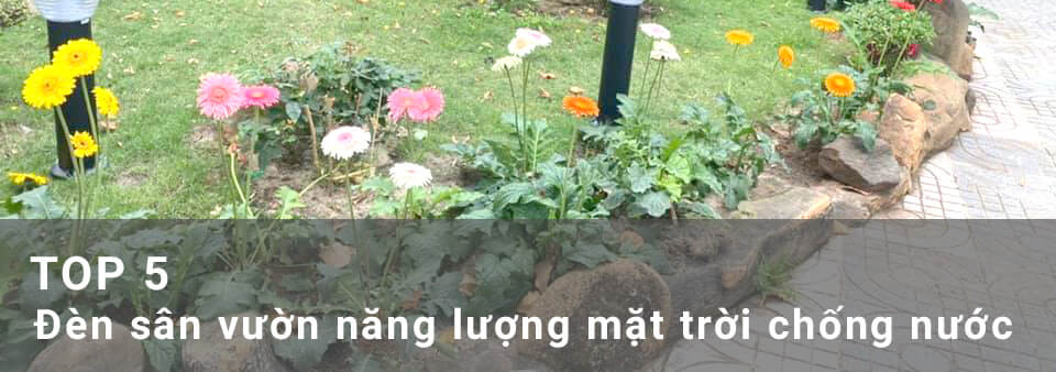 Top 5 Den Nang Luong Mat Troi Chong Nuoc 1 1